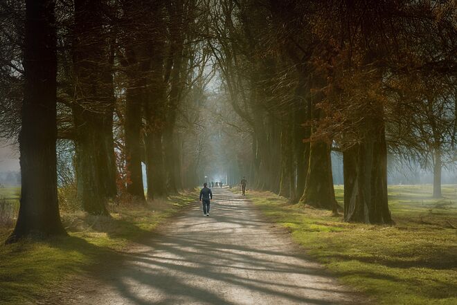 Frühsport in der Hellbrunner Allee