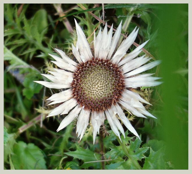 . . . kühle Sonne . . .