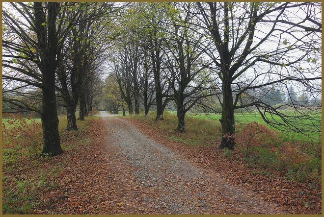 . . . . kalt ist schon die Luft . . .