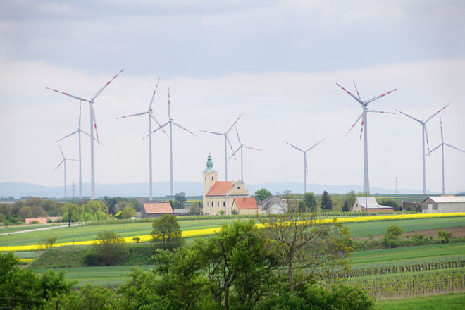 Wenn die Bäume in den Himmel wachsen...