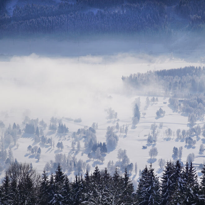 "kranke Landschaft"