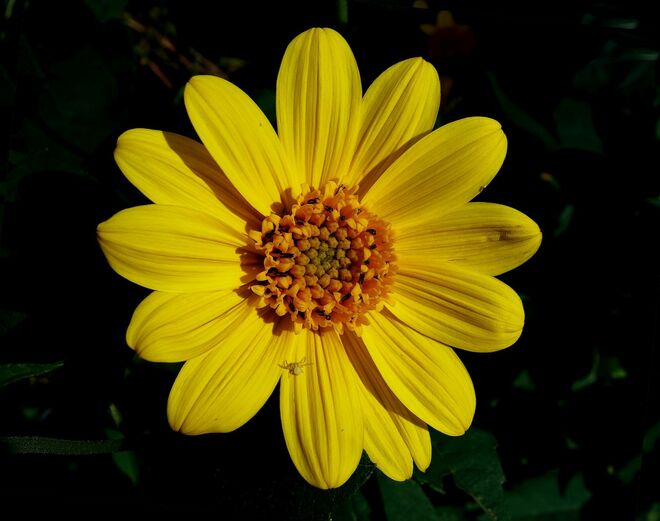 . . . kleinwinzig . . . .