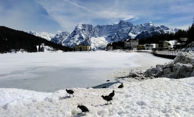 Wo bitte geht´s hier zum See?