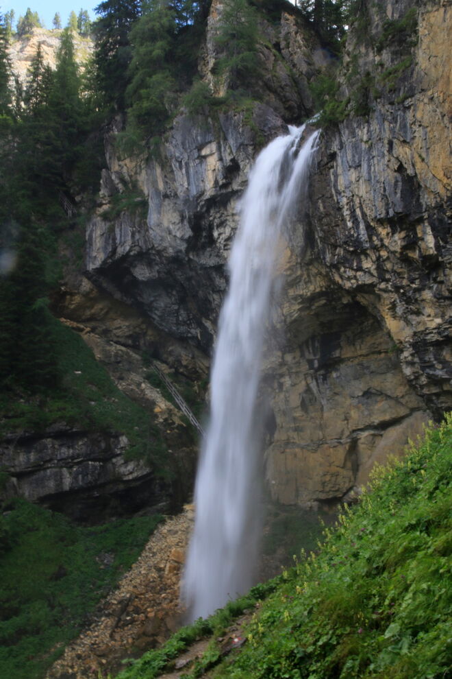 Vor dem Fall