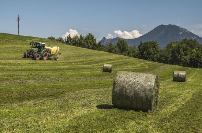 Ideales Erntewetter