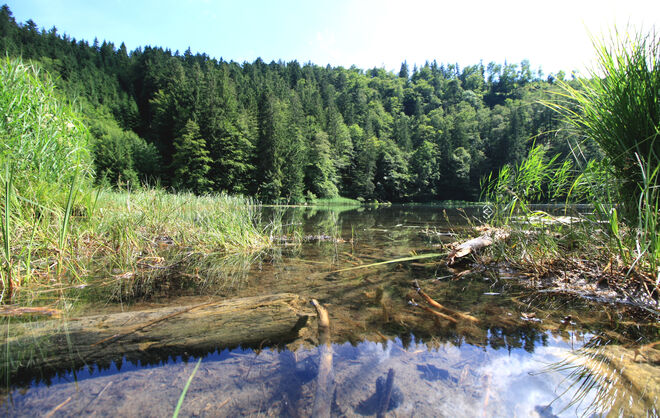 Der Filblingsee