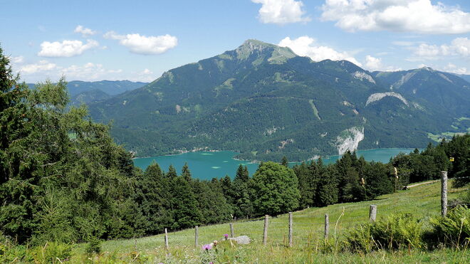 Blick auf Fürberg-Bucht und Falkenstein