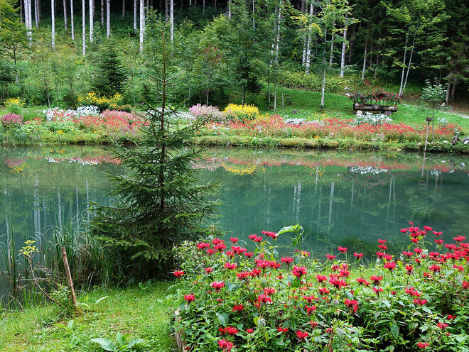 im August ein Platz für Fotografen