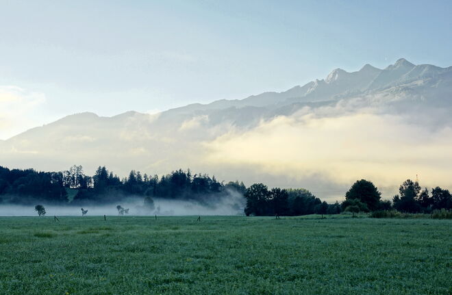 Bereits herbstlicher Morgennebel