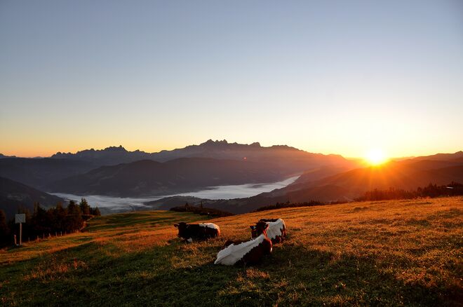 Sonnenaufgang auf der Alm