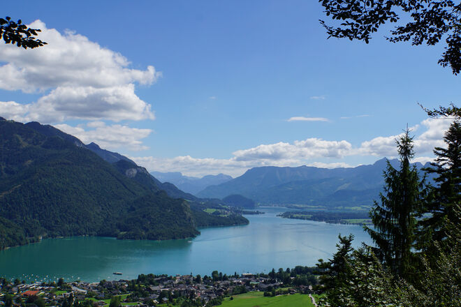 Mozartblick