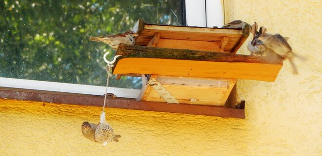 Erster Versuch - volles Programm