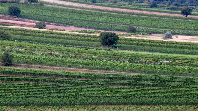 Burgenland Impressionen 1