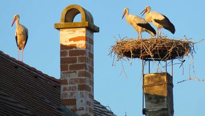Burgenland Impressionen 2