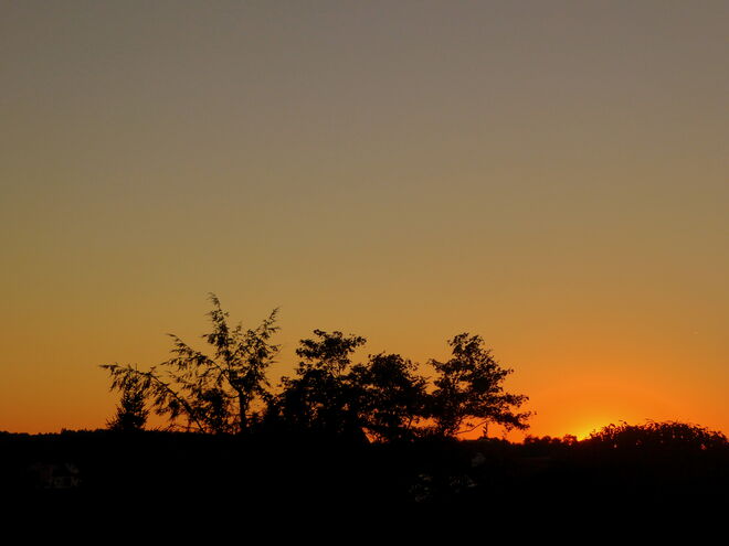 abends..