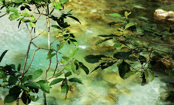 Wasserfarben