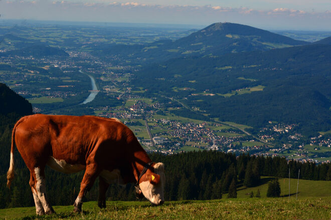 Blick ins Salzachtal