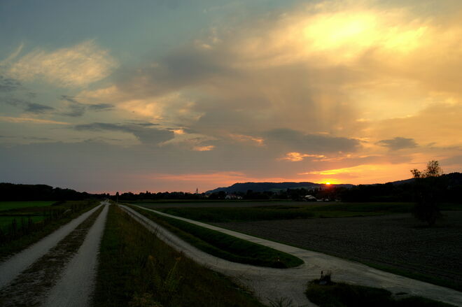 "WEGE"