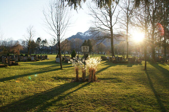 Sonnenuntergang am Kommunalfriedhof