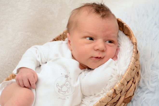 Julian Elias Ebner