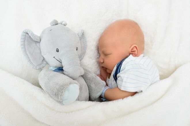 Nico Andreas Reschreiter