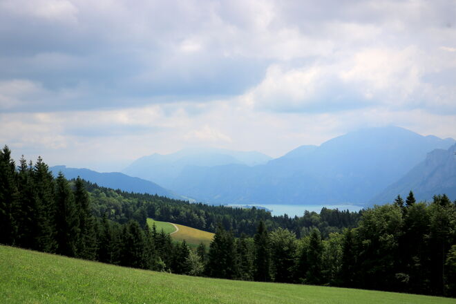 Ausblick - Richtung Mondsee