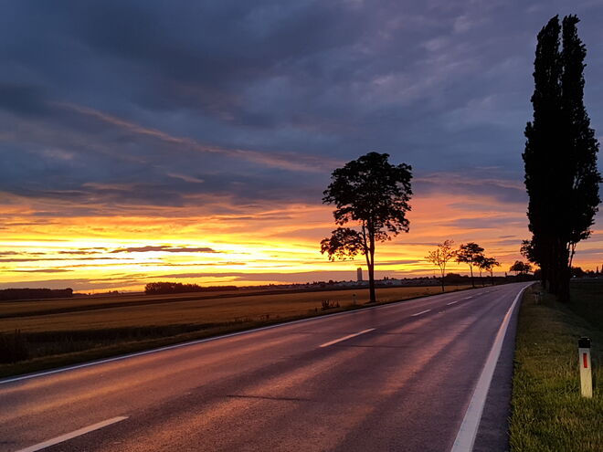 Marchfeld in goldener Abendglut