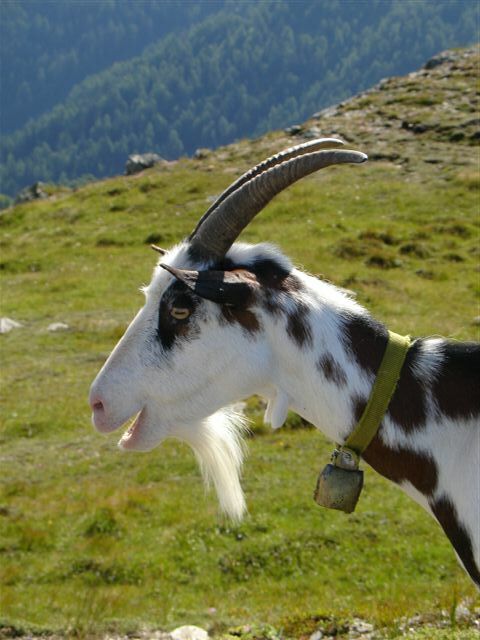 Hoch am Berg...