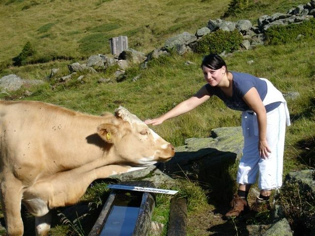 Begegnung auf der Alm