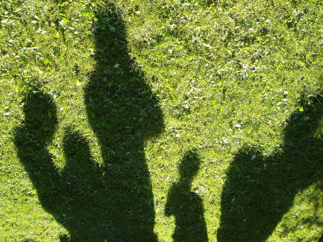 Schatten im Gras