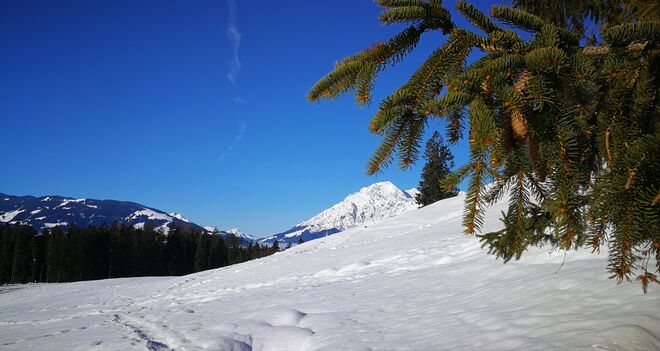 ... herrliche Wanderung!