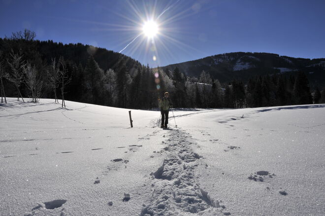 Wandern