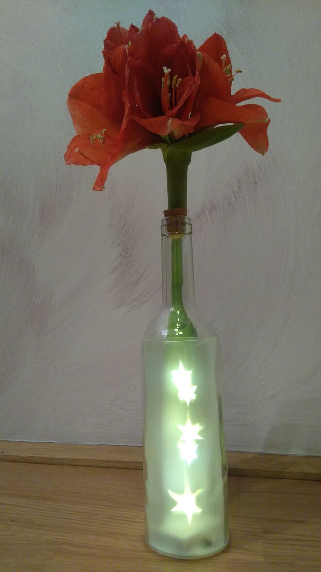 Amaryllis