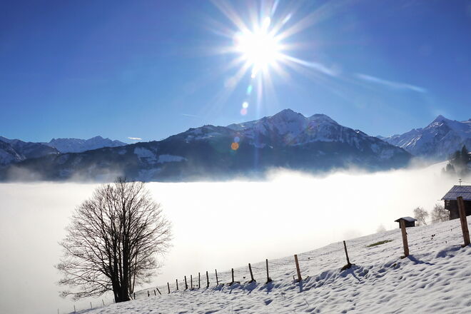 Traumwinterwetter zu den Weihnachtsfeiertagen