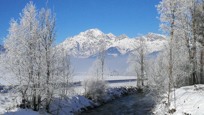 Raureif - Urslau - Birnhorn