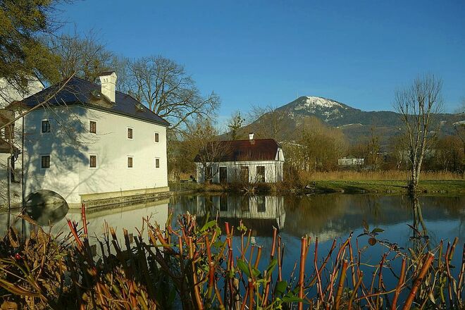 Frühlingsfarben ums Schloss
