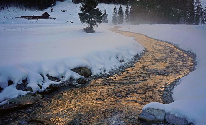 Goldener Gebirgsbach