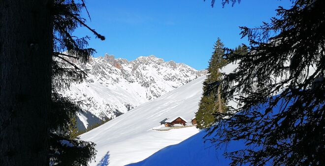 Brandleitenalm
