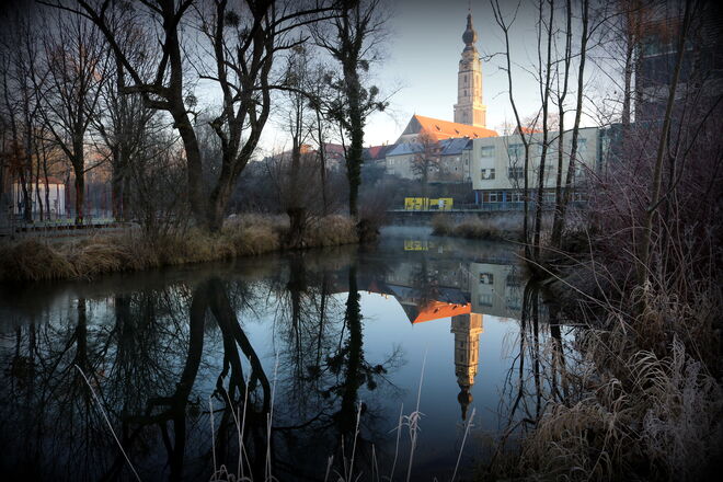 "UNSER STEFFL"