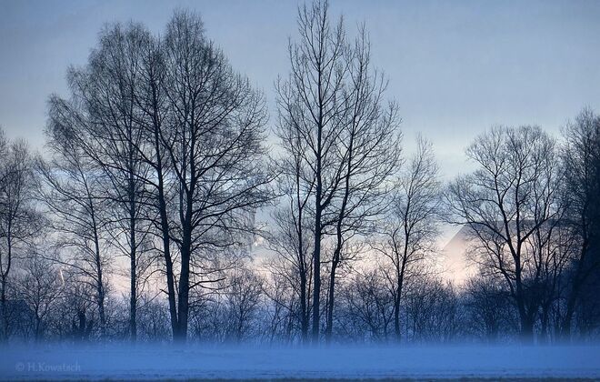 Ein nebeliger Wintermorgen