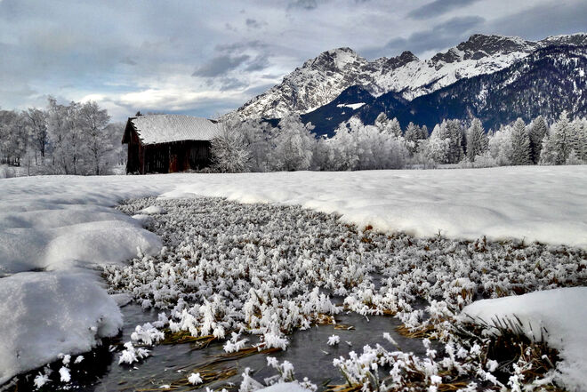 Im Land des Winterkönigs