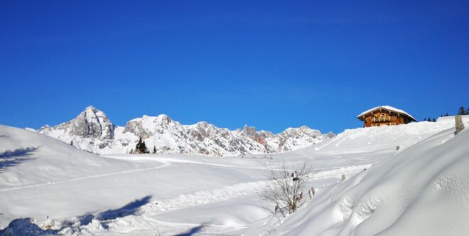 Strahlender Wintertag