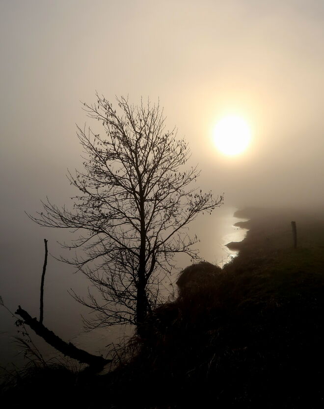 Am Ufer entlang - der Sonne entgegen.