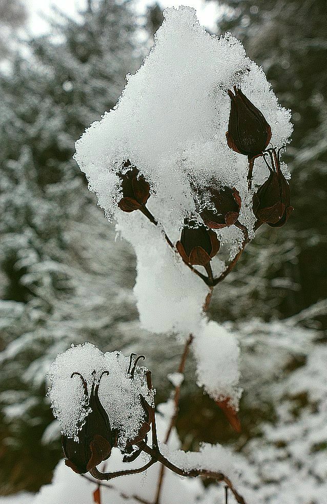 Versteckspiel