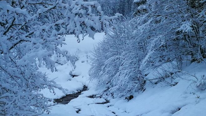 Winterimpression