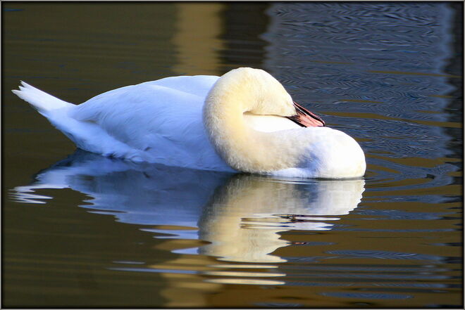 Mach mal Pause !