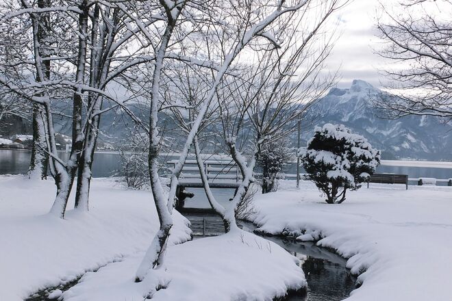 Mondsee-Ufer mit Zuckerguss