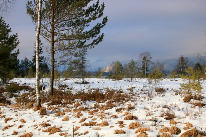 Blick übers Blinklingmoos