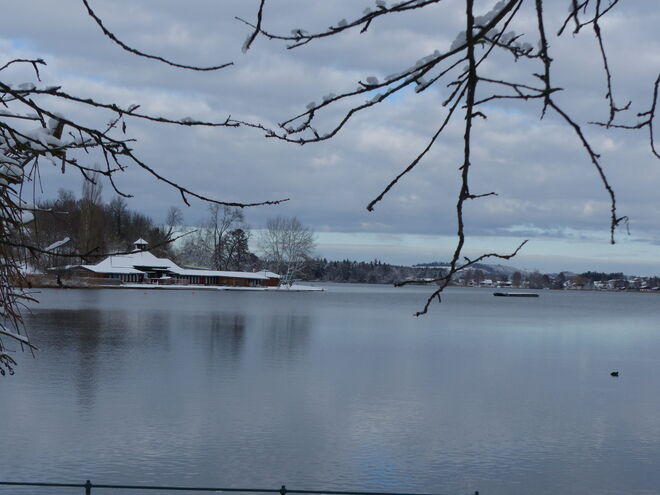 Winter am See