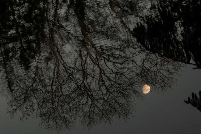 Guter Mond, du gehst so stille...
